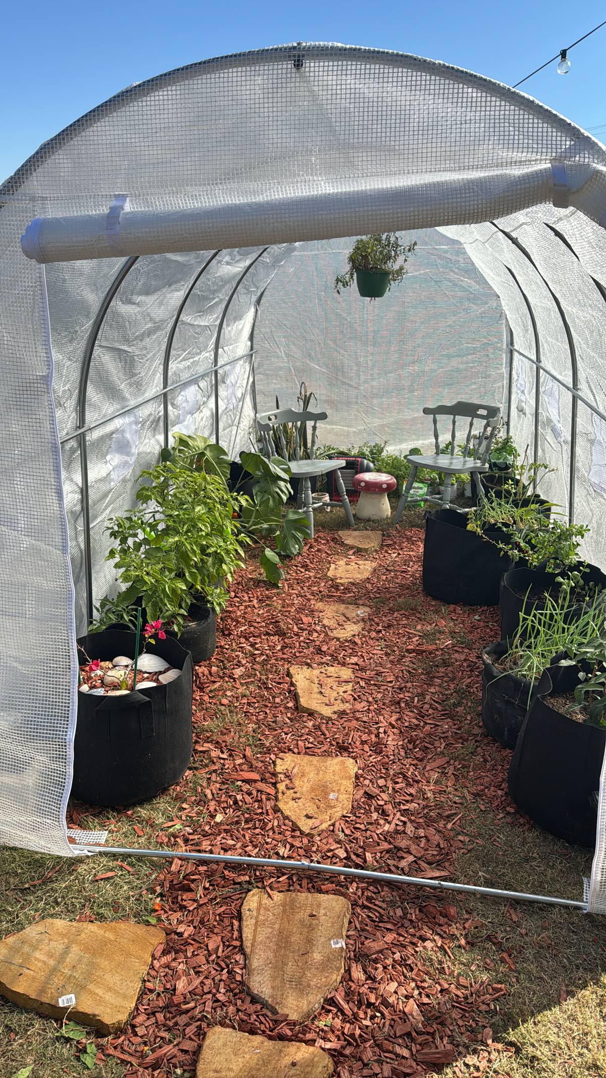 Jordan Polasek's backyard greenhouse tunnel in El Campo, Texas, with grow bags full of herbs and vegetables